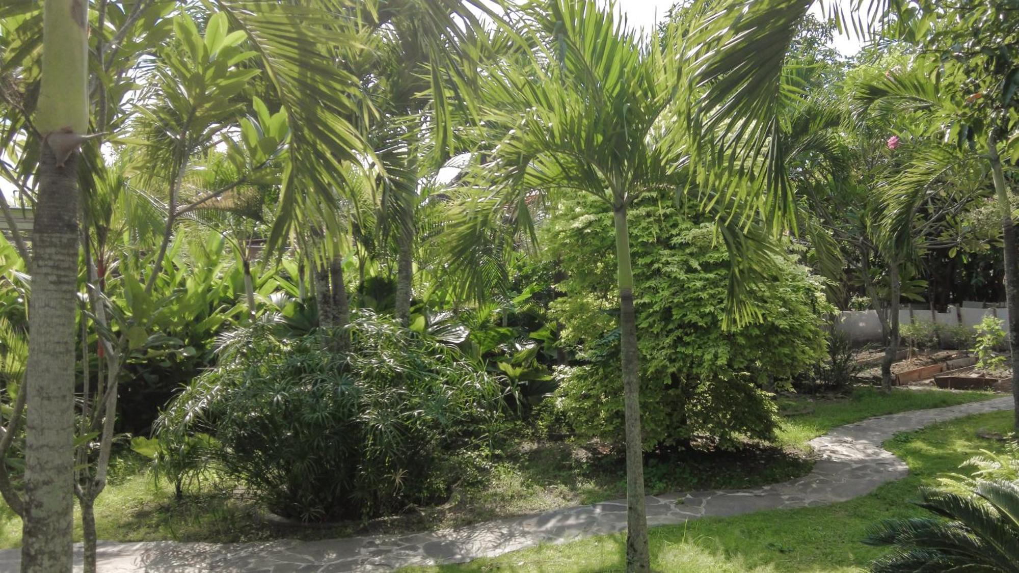 Ohmmstay - Rumah Pendopo Tanjungtirto Esterno foto